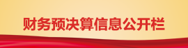 财务预决算